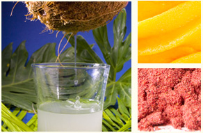  fruit purees, concentrates and powders