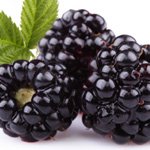 blackberry