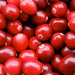 cranberry