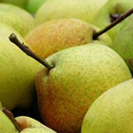 pear