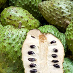soursop